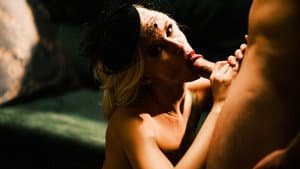 Dark Is the Night — foto 1
