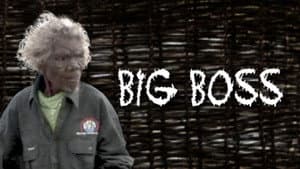 Big Boss — foto 1