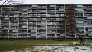 Gyrischachen - von Sünden, Sofas und Cervelats — foto 1