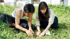 宮本から君へ — foto 2