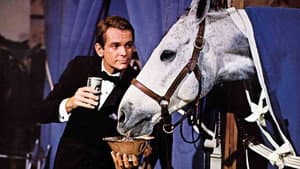 The Horse in the Gray Flannel Suit — foto 1