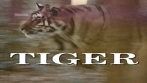 Predators of the Wild: Tiger — foto 1