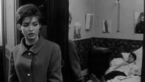 Antoine y Colette — foto 11