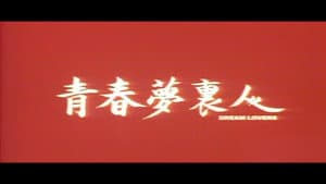 青春夢裡人 — foto 1