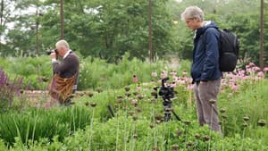 Five Seasons: The Gardens of Piet Oudolf — foto 7