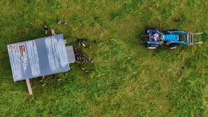 The Lunatic Farmer — foto 1