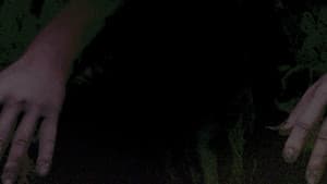 Feed Me — foto 3