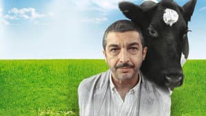 Un Cuento Chino — foto 4