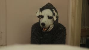 Good Boy — foto 5