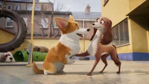 Corgi: Un perro real — foto 10