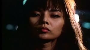 태양 속의 남자 — foto 1