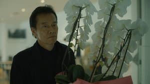 見はらし世代 — foto 5