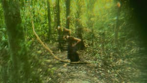 A Ascensão da Cigarra — foto 3