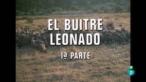 Episodio 30