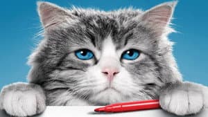 Mi papá es un gato — foto 6