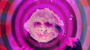 Mashed Potato Face — foto 2