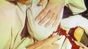 Bloodthirsty Butchers — foto 5