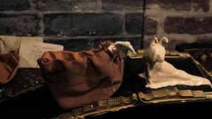 Snail Mail — foto 2