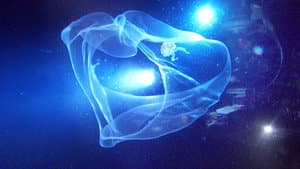 Aliens of the Deep — foto 1