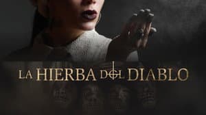 La Hierba del Diablo — foto 1