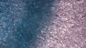 The Fly of Theseus — foto 1
