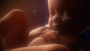 In the Womb: Multiples — foto 1