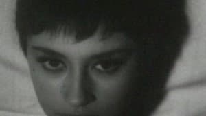Dopo il buio — foto 1