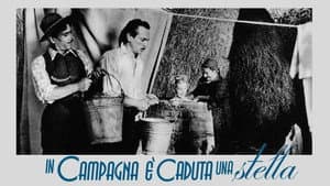 In campagna è caduta una stella — foto 1
