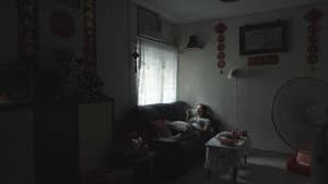 仙人掌 — foto 3