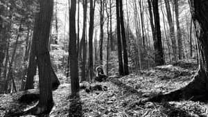 the creek — foto 1