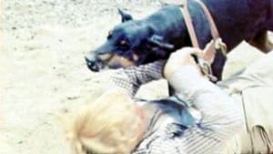 Mean Dog Blues — foto 1