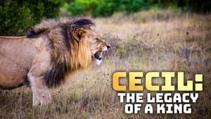 Cecil: The Legacy of a King — foto 1