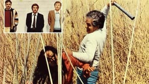 No, il caso è felicemente risolto — foto 5