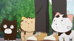 Uchitama?! Have You Seen My Tama? — foto 4