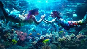 MerPeople — foto 2