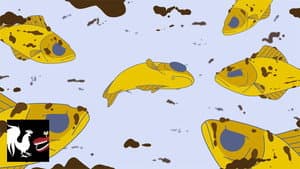 Episodio 8