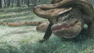 El Cocodrilo vs Anaconda — foto 5