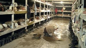 Binecuvântată fii, închisoare — foto 2
