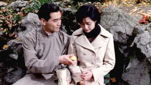 紅玫瑰白玫瑰 — foto 4