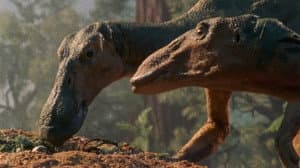 Dinosaur! — foto 1