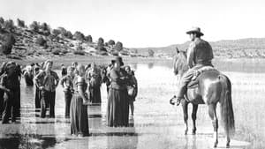 Caravana de mujeres — foto 12