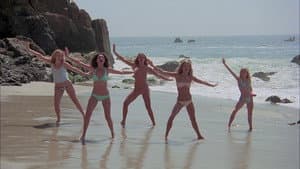 The Pom Pom Girls — foto 6