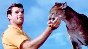 Charlie, the Lonesome Cougar — foto 1