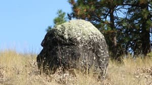 Origins of consciousness — foto 1