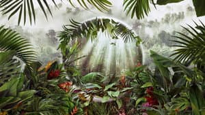 Planeta Verde — foto 2