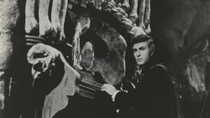 El mundo de los vampiros — foto 2