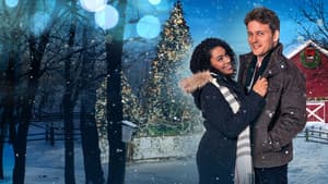 Sappy Holiday — foto 5