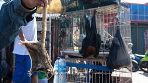 Coronavirus: Alerta ambiental — foto 3