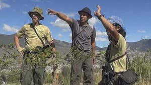 Episodio 2