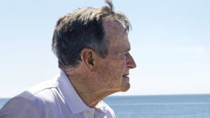 41 — foto 1